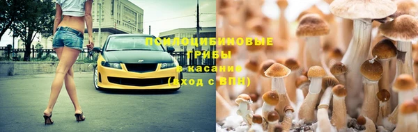 2c-b Абдулино