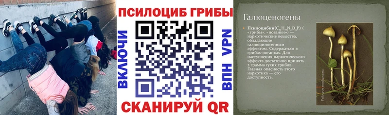 Псилоцибиновые грибы Magic Shrooms  Инсар 